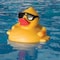 Game Game Derby Duck Floating Pool Chlorinator 3 in. H 4002 - alternate 2